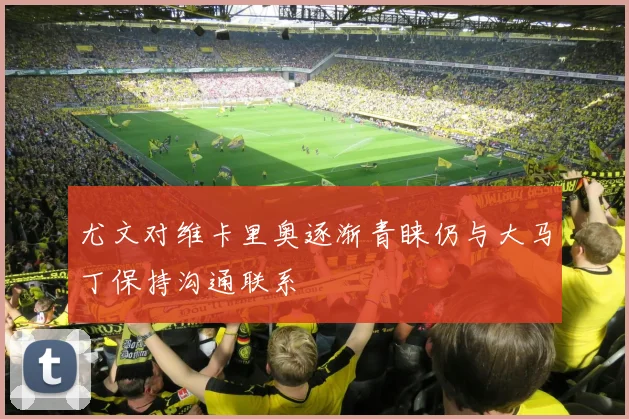 尤文对维卡里奥逐渐青睐仍与大马丁保持沟通联系